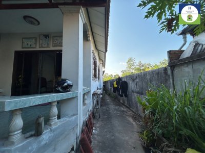 บ้านบัวหลวง ดอนแค - ขามใหญ่