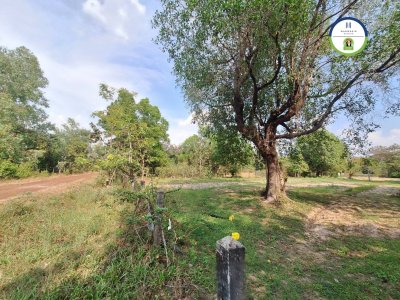 ที่ดินแปลงสวย หลังอนามัย 10 วารินชำราบ