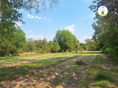 ที่ดินแปลงสวย หลังอนามัย 10 วารินชำราบ