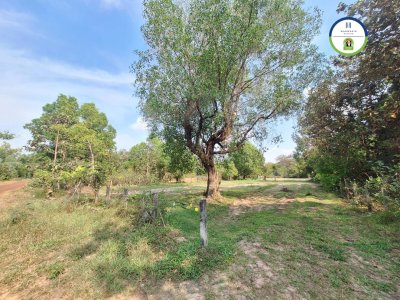 ที่ดินแปลงสวย หลังอนามัย 10 วารินชำราบ