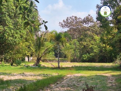 ที่ดินแปลงสวย หลังอนามัย 10 วารินชำราบ