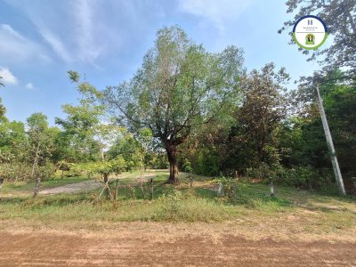 ที่ดินแปลงสวย หลังอนามัย 10 วารินชำราบ