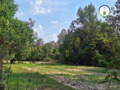 ที่ดินแปลงสวย หลังอนามัย 10 วารินชำราบ