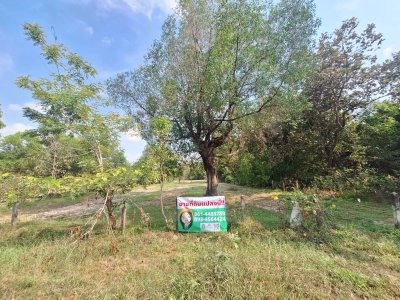 ที่ดินแปลงสวย หลังอนามัย 10 วารินชำราบ