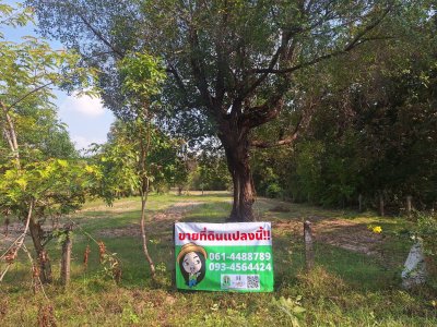 ที่ดินแปลงสวย หลังอนามัย 10 วารินชำราบ