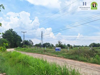 ที่ดินเปล่า แปลงยาว ใกล้วัดใหม่นาคลอง