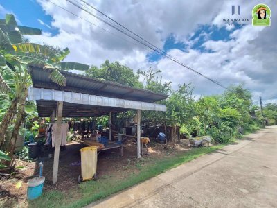 ที่ดินเปล่า ทำเลดี ติดถนนสถลมาร์ค ใกล้ ธกส.วารินชำราบ