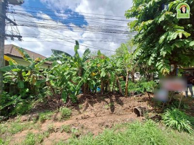 ที่ดินเปล่า ทำเลดี ติดถนนสาย 24 วาริน-เดชอุดม