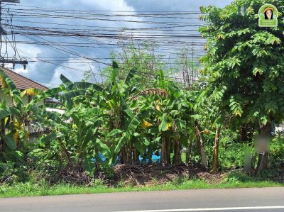 ที่ดินเปล่า ทำเลดี ติดถนนสาย 24 วาริน-เดชอุดม