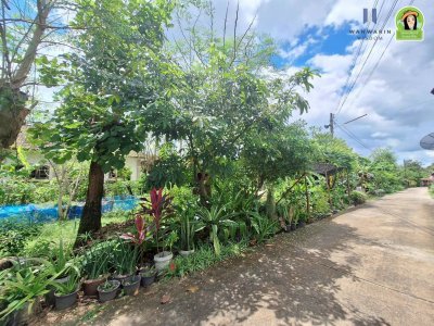 ที่ดินเปล่า ทำเลดี ติดถนนสาย 24 วาริน-เดชอุดม