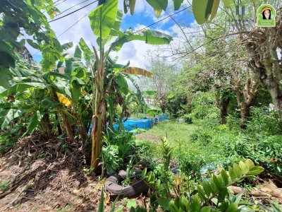 ที่ดินเปล่า ทำเลดี ติดถนนสาย 24 วาริน-เดชอุดม