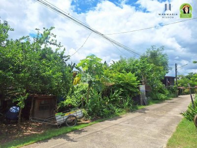 ที่ดินเปล่า ทำเลดี ติดถนนสาย 24 วาริน-เดชอุดม