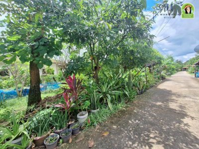 ที่ดินเปล่า ทำเลดี ติดถนนสาย 24 วาริน-เดชอุดม