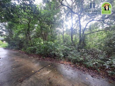 ที่ดินเปล่า ในซอยนาดูน2 หลังปั้มน้ำมันบางจากดีเยี่ยม ต.ขามใหญ่