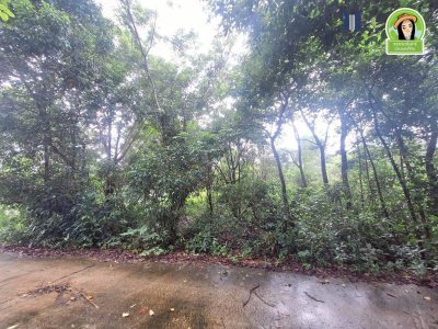 ที่ดินเปล่า ในซอยนาดูน2 หลังปั้มน้ำมันบางจากดีเยี่ยม ต.ขามใหญ่