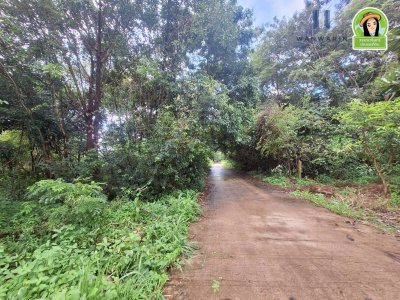 ที่ดินเปล่า ในซอยนาดูน2 หลังปั้มน้ำมันบางจากดีเยี่ยม ต.ขามใหญ่