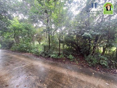 ที่ดินเปล่า ในซอยนาดูน2 หลังปั้มน้ำมันบางจากดีเยี่ยม ต.ขามใหญ่