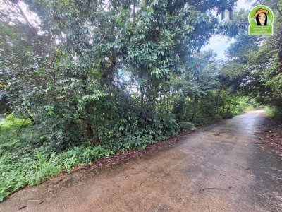 ที่ดินเปล่า ในซอยนาดูน2 หลังปั้มน้ำมันบางจากดีเยี่ยม ต.ขามใหญ่