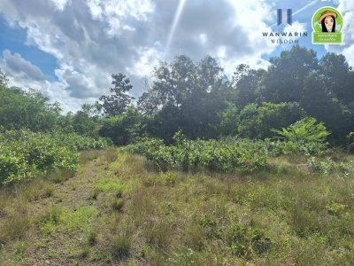 ที่ดินเปล่า ในซอยห้วยคุ้ม ใกล้ Club 45 เหมาะสำหรับสร้างที่อยู่อาศัย