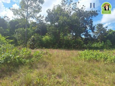 ที่ดินเปล่า ในซอยห้วยคุ้ม ใกล้ Club 45 เหมาะสำหรับสร้างที่อยู่อาศัย