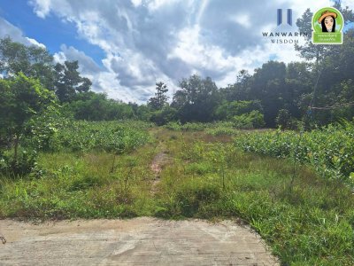 ที่ดินเปล่า ในซอยห้วยคุ้ม ใกล้ Club 45 เหมาะสำหรับสร้างที่อยู่อาศัย