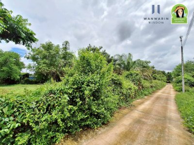 ที่ดินเปล่า โซนไร่น้อย หลังโรงแรม B2 ห่างถนนอุบล-ตระการ