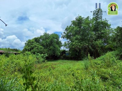 ที่ดินเปล่า โซนไร่น้อย หลังโรงแรม B2 ห่างถนนอุบล-ตระการ