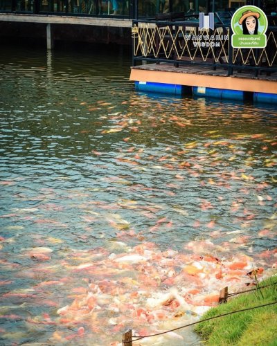 ขายกิจการครบวงจร 2 เด้ง โรงงานขนม + ร้านกาแฟริมน้ำ