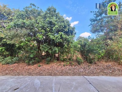 ที่ดินเปล่า ใน ต.ขี้เหล็ก จากถนนชยางกูรเข้ามาเพียง  3 นาที