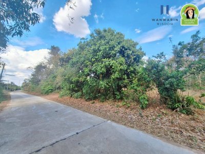 ที่ดินเปล่า ใน ต.ขี้เหล็ก จากถนนชยางกูรเข้ามาเพียง  3 นาที