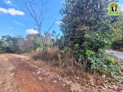 ที่ดินเปล่า ใน ต.ขี้เหล็ก จากถนนชยางกูรเข้ามาเพียง  3 นาที