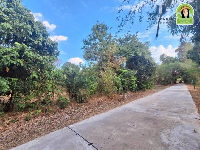 ที่ดินเปล่า ใน ต.ขี้เหล็ก จากถนนชยางกูรเข้ามาเพียง  3 นาที