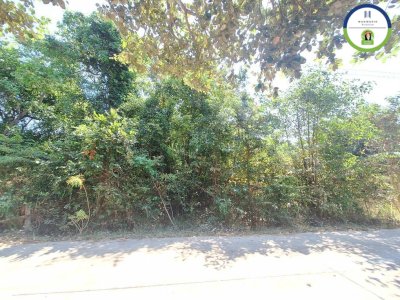 ที่ดินเปล่า ในซอยดวงเจริญ 2 บ้านดวงเจริญ