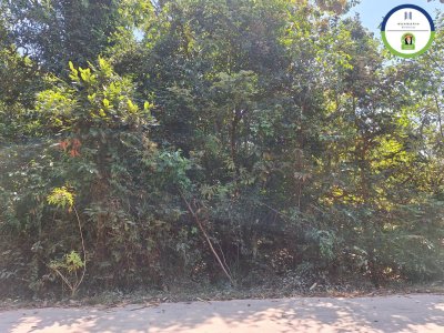 ที่ดินเปล่า ในซอยดวงเจริญ 2 บ้านดวงเจริญ