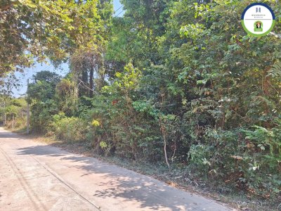 ที่ดินเปล่า ในซอยดวงเจริญ 2 บ้านดวงเจริญ