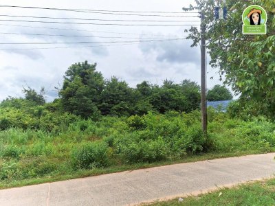 ที่ดินเปล่า ติดถนนทุ่งขาม-ทุ่งหลวง ใกล้ตลาดขามใหญ่เพียง 400 เมตร