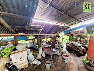 อาคารพาณิชย์ 1ชั้นครึ่ง 2 คูหาทะลุหากัน