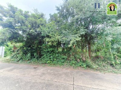 ที่ดินเปล่า โซนนาอุดม ต.ขามใหญ่