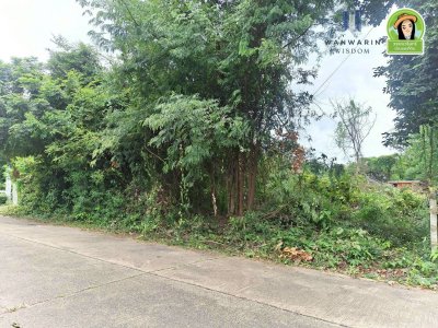 ที่ดินเปล่า โซนนาอุดม ต.ขามใหญ่