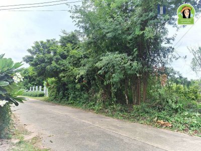ที่ดินเปล่า โซนนาอุดม ต.ขามใหญ่
