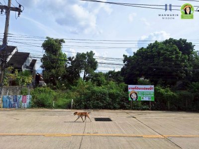 ที่ดินเปล่า ทำเลดี ในซอยถนนท่าบ่อ ต.แจระแม