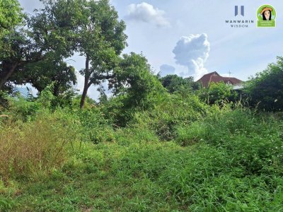 ที่ดินเปล่า ทำเลดี ในซอยถนนท่าบ่อ ต.แจระแม