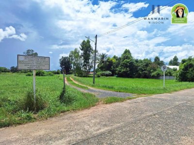 ที่นาแปลงสวย ในซอยบิวอนุธิดา บ้านหนองหว้า ตำบลขามใหญ่