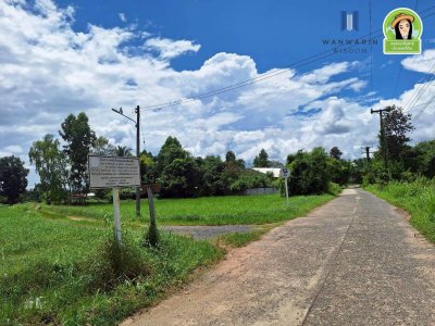 ที่นาแปลงสวย ในซอยบิวอนุธิดา บ้านหนองหว้า ตำบลขามใหญ่