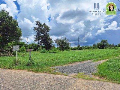 ที่นาแปลงสวย ในซอยบิวอนุธิดา บ้านหนองหว้า ตำบลขามใหญ่