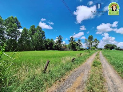 ที่นาแปลงสวย ในซอยบิวอนุธิดา บ้านหนองหว้า ตำบลขามใหญ่