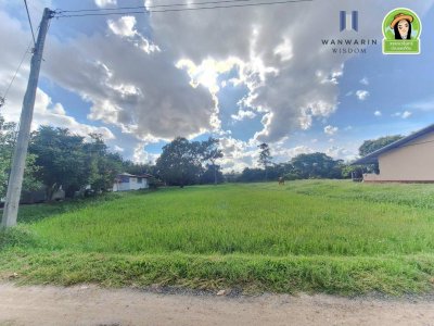 ที่นาแปลงสวยรูปทรงสี่เหลี่ยมด้านขนาน