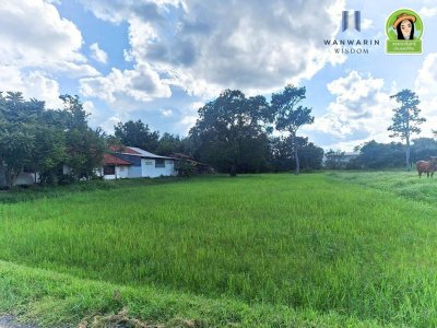 ที่นาแปลงสวยรูปทรงสี่เหลี่ยมด้านขนาน