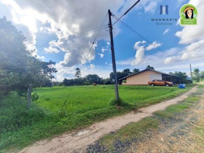 ที่นาแปลงสวยรูปทรงสี่เหลี่ยมด้านขนาน