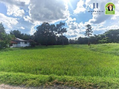 ที่นาแปลงสวยรูปทรงสี่เหลี่ยมด้านขนาน